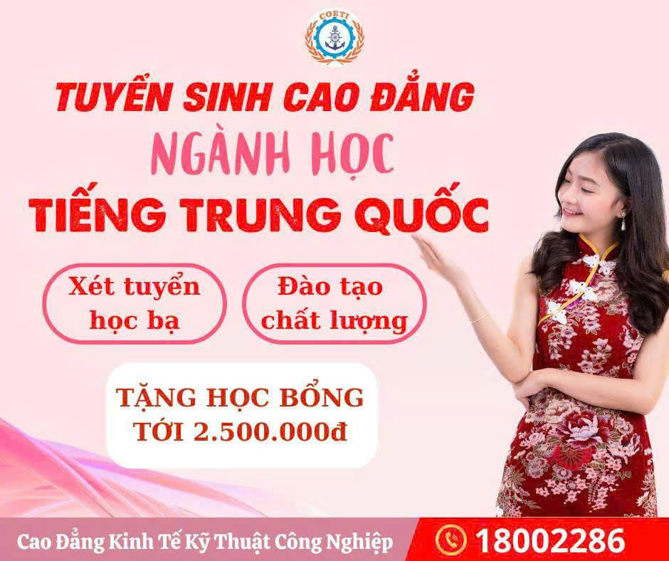 cd tq